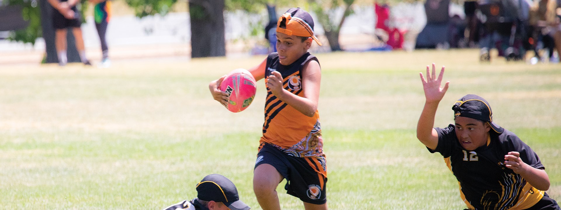 Nt Schools Hero V1